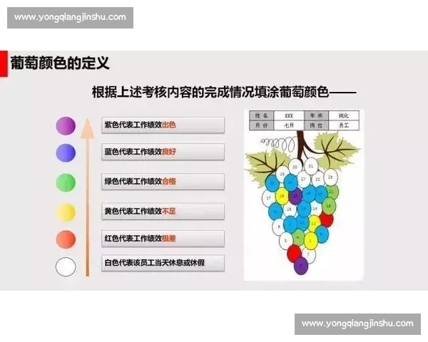 现代体育组织运营与绩效提升的管理策略研究