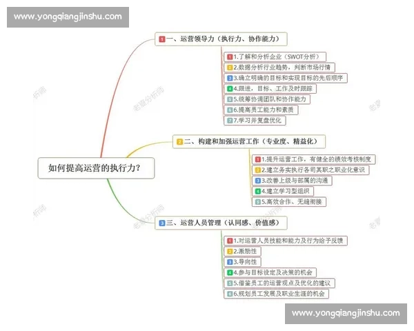 提升团队协作与战术执行力全面解析体育赛场表现